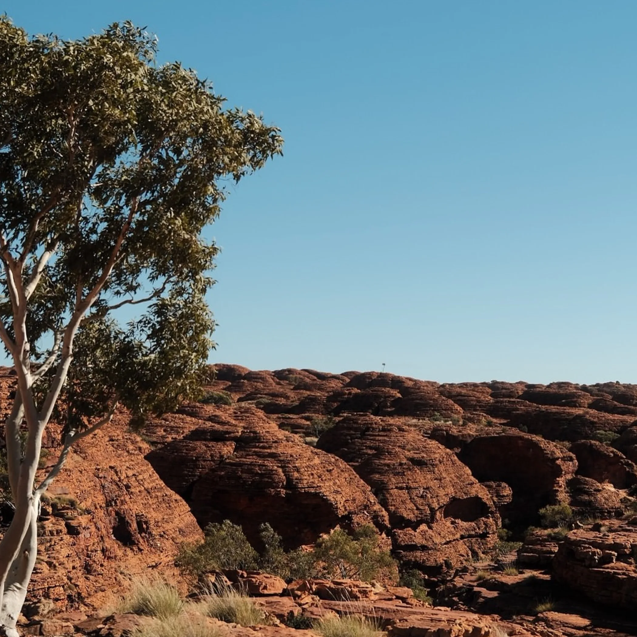 kings canyon terrain