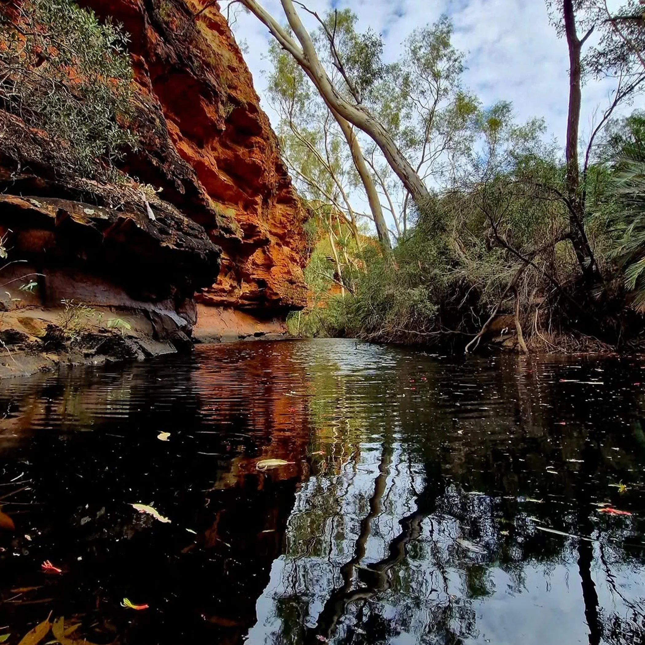 garden of eden landscape